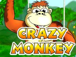 Игровой автомат Crazy Monkey &mdash; лучший в рейтинге казино Вулкан